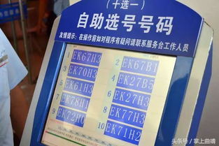 選號,車(chē)牌,注意事項