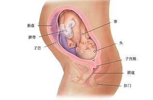 二胎孕36周注意事項