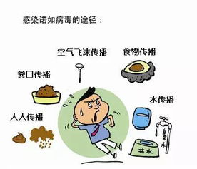 躲星順星的注意事項,躲星的注意事項,初八躲星注意事項