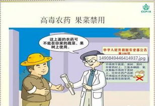 乳油農藥注意事項,礦物油農藥注意事項,苦參堿農藥注意事項
