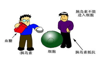 糖尿病,注意事項,預防