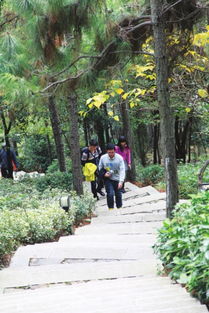 森林公園規劃注意事項