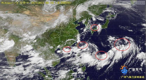 暴雨,臺風(fēng),注意事項(xiàng),天氣