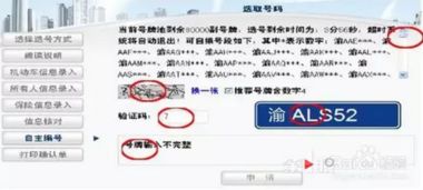 新車(chē)上牌選號注意事項