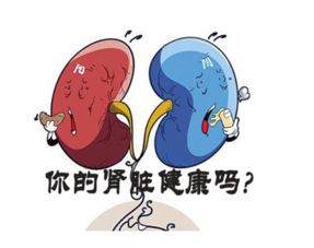 腎炎,注意事項