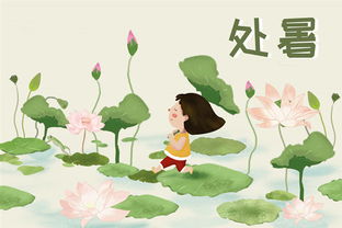 處暑,開(kāi)運,注意事項