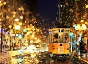 雨夜,注意事項,行車(chē)