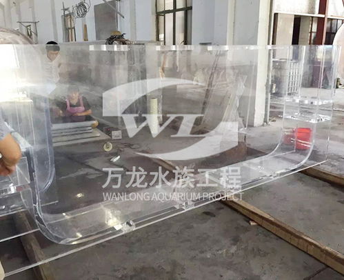 定做龍魚(yú)缸注意事項(xiàng)
