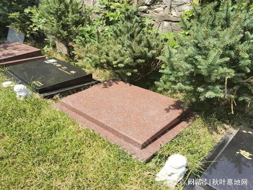 墓地,注意事項