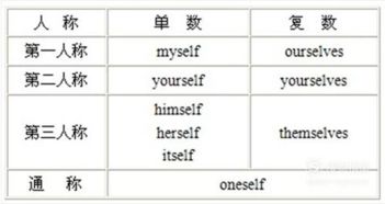 代詞,英語(yǔ),注意事項