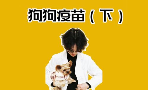 小狗扎完疫苗注意事項