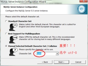 注意事項,安裝,mysql