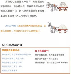 強心,藥物,注意事項,觀(guān)察