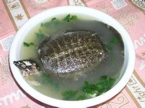 宮頸環(huán)扎術(shù)后飲食注意事項,環(huán)扎術(shù)后需要注意事項,鞏膜環(huán)扎術(shù)后注意事項