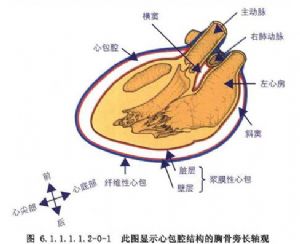 心包穿刺后注意事項