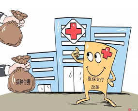 種梅豆時(shí)注意事項