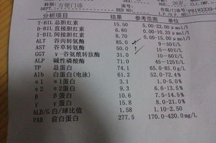 轉氨酶,偏高,注意事項
