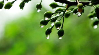 小區梅雨季節注意事項