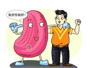 脾膽囊切除后注意事項,脾切除后生活注意事項,胰腺和脾切除后注意事項