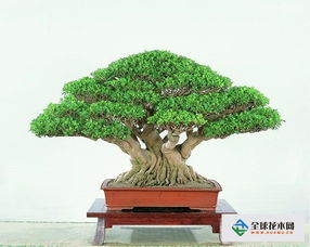 養殖,注意事項,方法