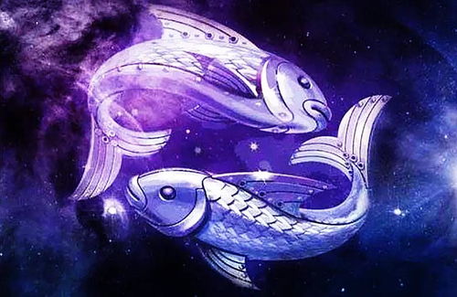 雙魚(yú),注意事項