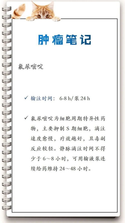 氟尿嘧啶使用時(shí)注意事項