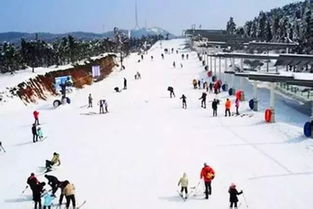 寧波商量崗滑雪注意事項,滑雪注意事項和要領(lǐng),新手滑雪注意事項