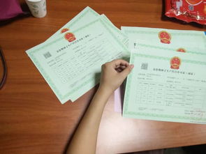使用子查詢(xún)時(shí)的注意事項有哪些,使用子查詢(xún)需要注意事項,曹全碑的特點(diǎn)及注意事項