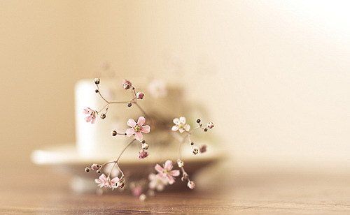 手術(shù)臺上，老公放棄了我