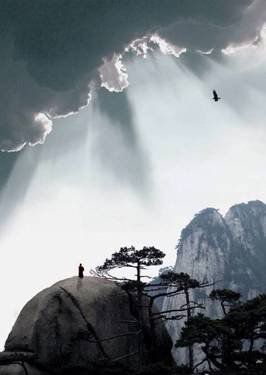 葉子的離開(kāi)，并不是風(fēng)的追求，更不是樹(shù)的不挽