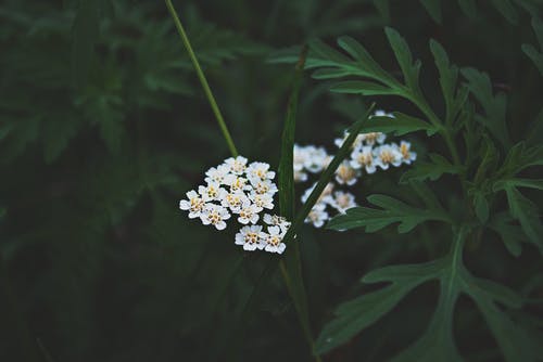 《雙調·水仙子·譏時(shí)》原文及注解