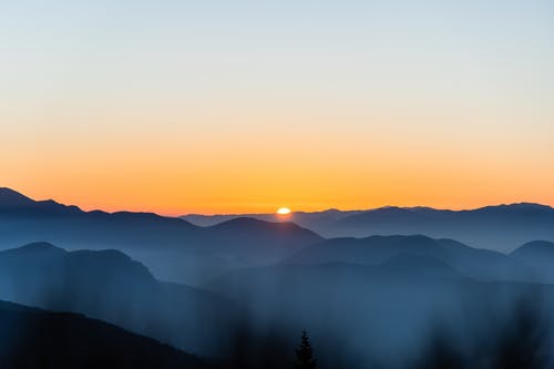 五年級狀物作文竹（四）
