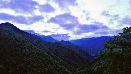 《滿(mǎn)江紅·甲辰歲盤(pán)門(mén)外寓居過(guò)重午》賞析