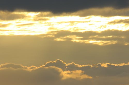 道士下山成為首富小說(shuō)逆襲陳陽(yáng)苗月無(wú)刪減閱讀