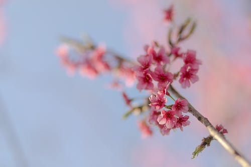 祝福朋友結婚祝福語(yǔ)