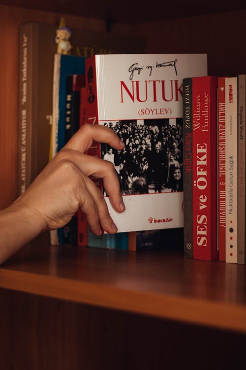 寵文丹醫世無(wú)雙小說(shuō)水墨青蕭漠塵搶先閱讀