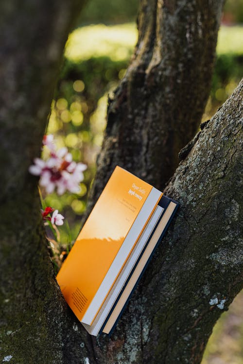 《閱讀是最好的獨處（茅盾文學(xué)獎評委、百花文學(xué)獎得主2020最新力