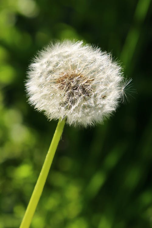 玄幻鴻蒙神王小說(shuō)莫良莫小依在線(xiàn)閱讀