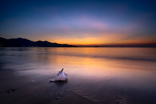 萬(wàn)萬(wàn)沒(méi)想到電影經(jīng)典臺詞