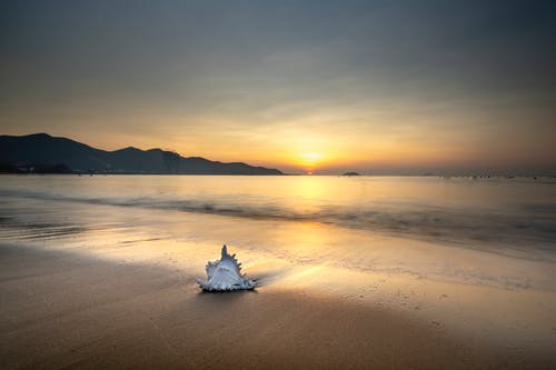 五年級讀后感《駱駝祥子》