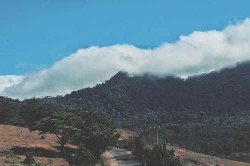 致親愛(ài)的老公美文
