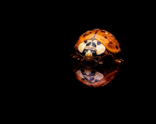 溫馨雨水祝福語(yǔ)匯總53條