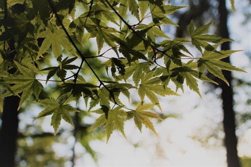 天天向上經(jīng)典臺詞