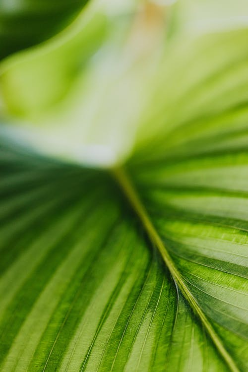 玄幻末世天師小說(shuō)主角閔池章節閱讀