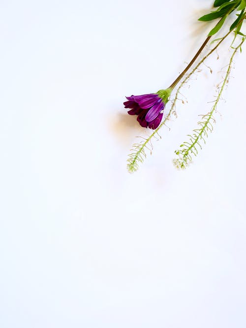 五年級英語(yǔ)作文we  are  growing  up