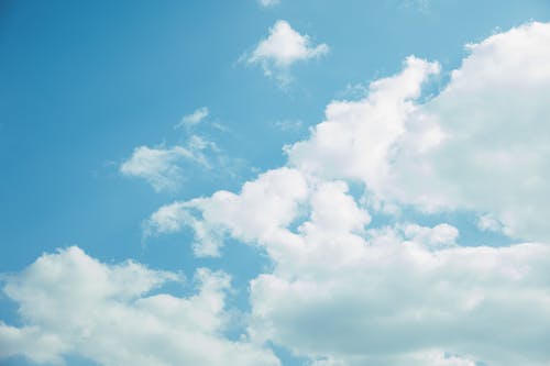 校園主持人開(kāi)場(chǎng)白臺詞