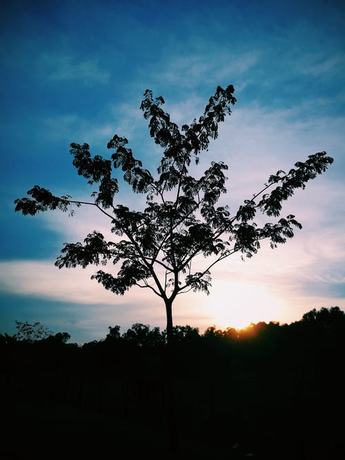 五年級散文渭河之水樂(lè )悠悠