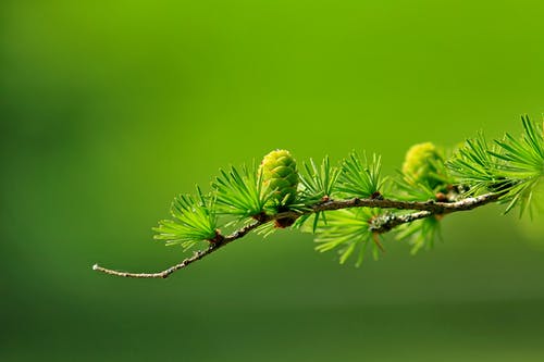 新學(xué)期打算日記250字