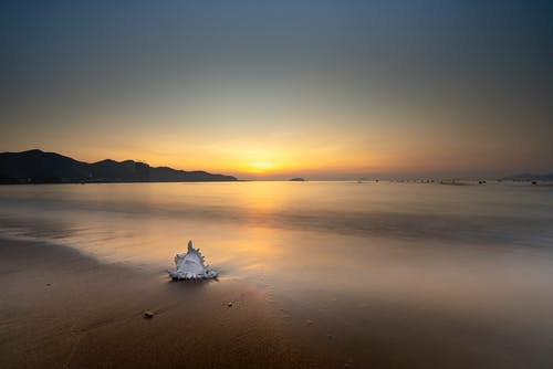 五年級寫(xiě)人作文我的同桌