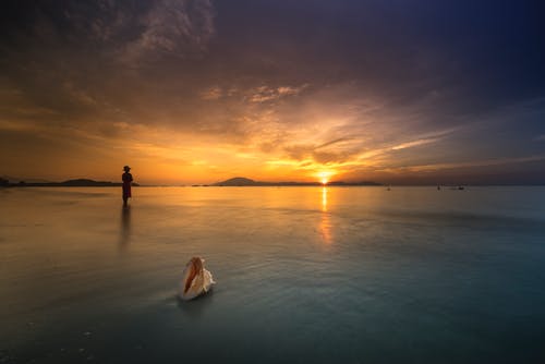 關(guān)于莉莉周的一切經(jīng)典臺詞